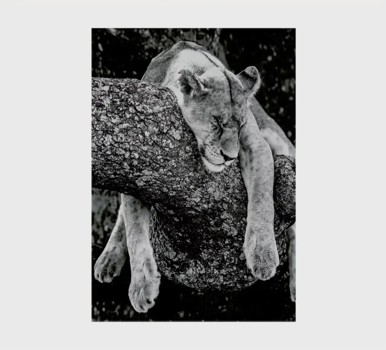 Lazy Day carnet de notes de Natural Kingdom