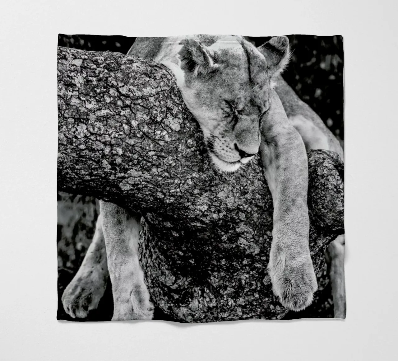 Lazy Day coperta in pile da Natural Kingdom