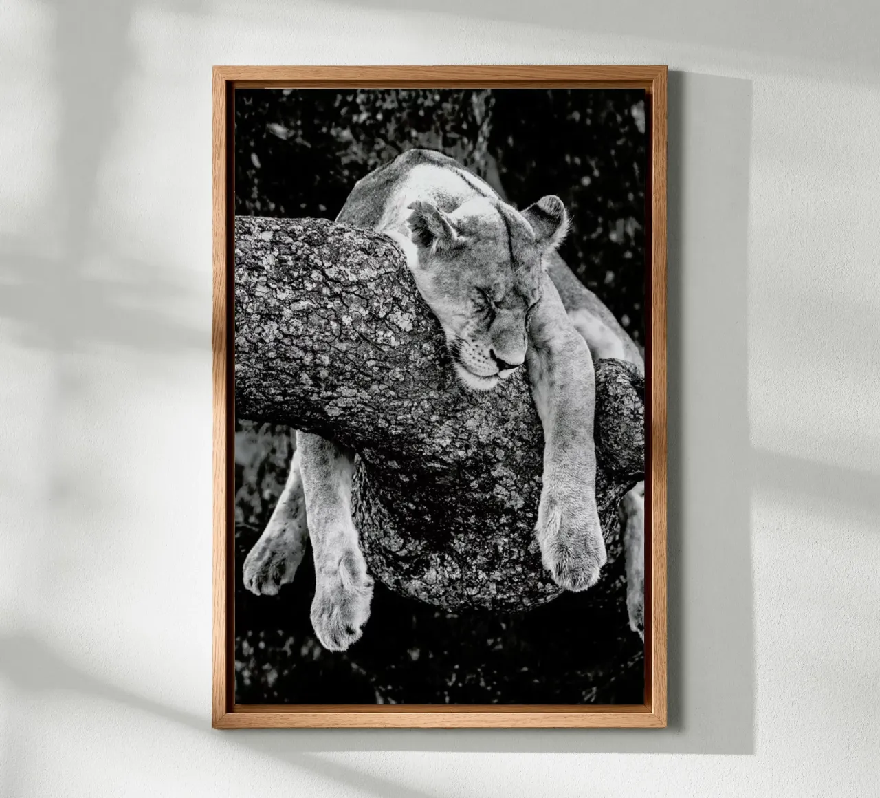 Lazy Day canvas by Natural Kingdom