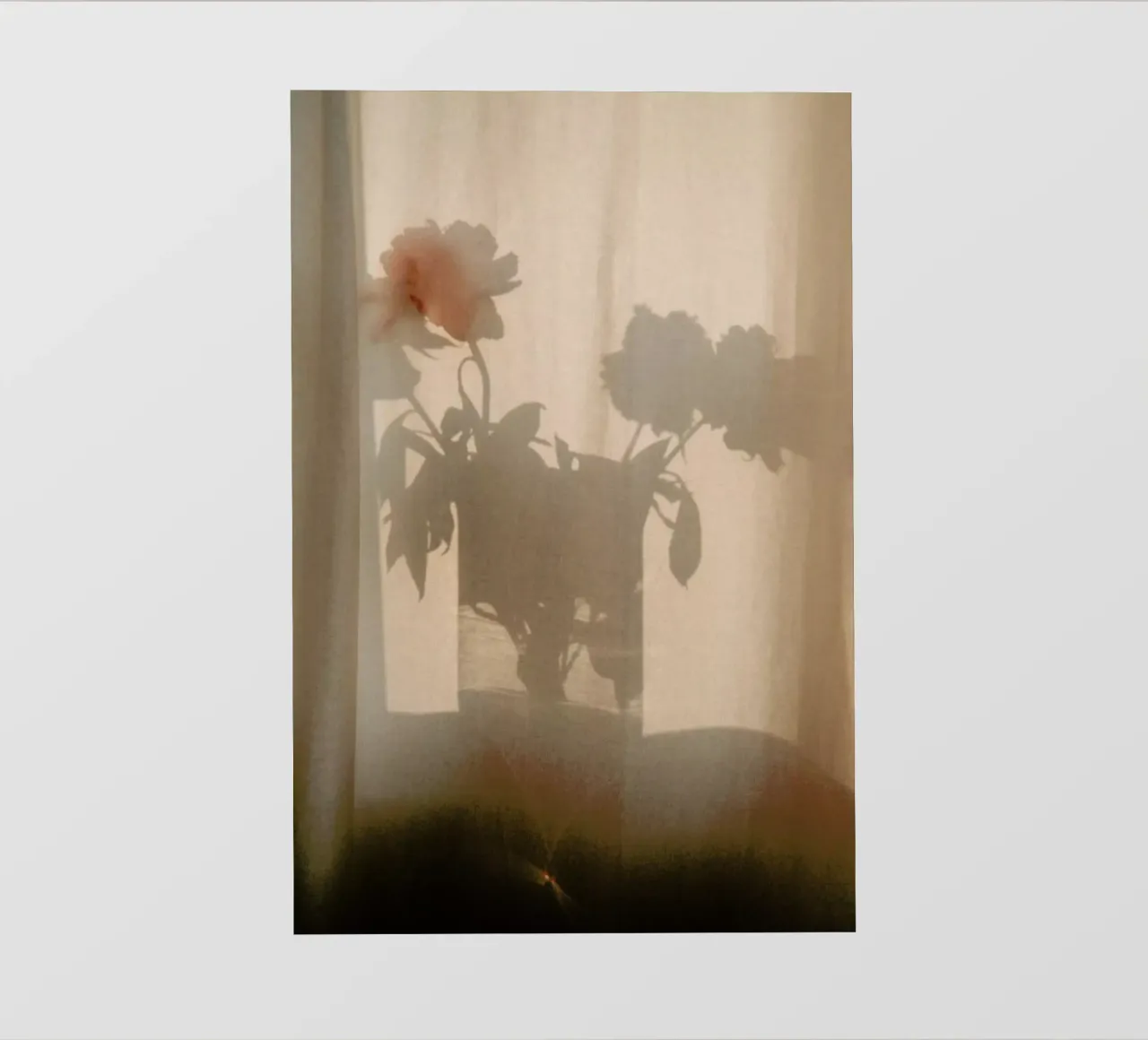 Abstract — Flower Shadow I lonas publicitarias de Sebastian Hilgetag