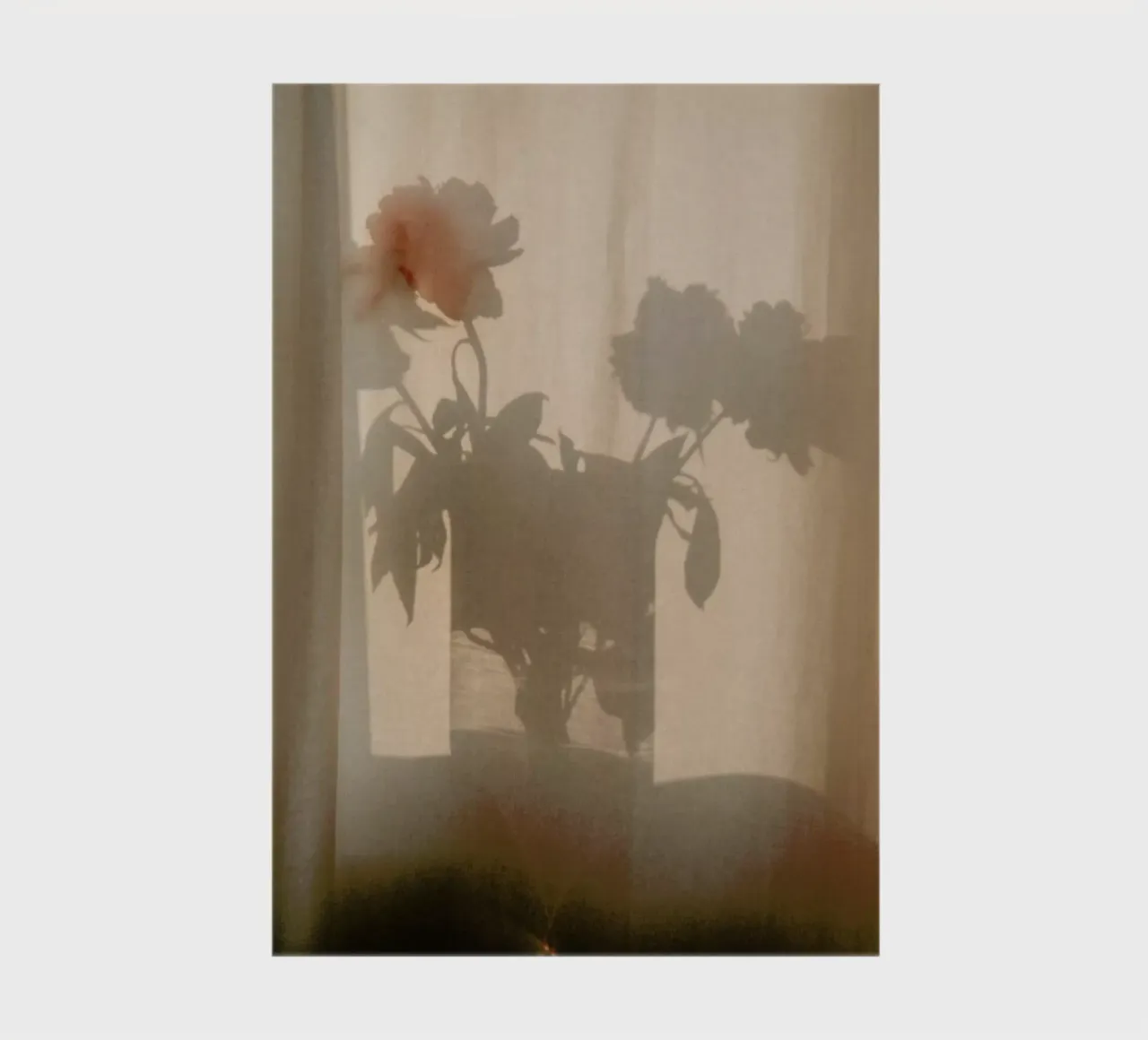 Abstract — Flower Shadow I notebook by Sebastian Hilgetag