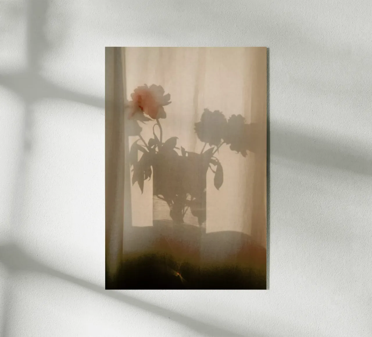 Abstract — Flower Shadow I plexiglass da Sebastian Hilgetag