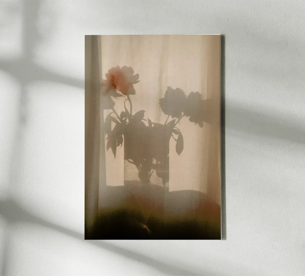Abstract — Flower Shadow I tela con Cornice a cassetta da Sebastian Hilgetag