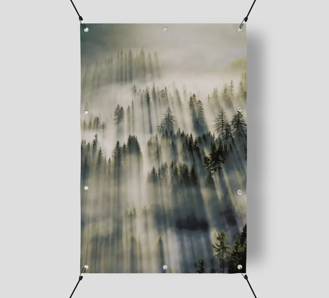 Sun Through Cedars @magnus___p telo in pvc da EyeEm Mobile GmbH