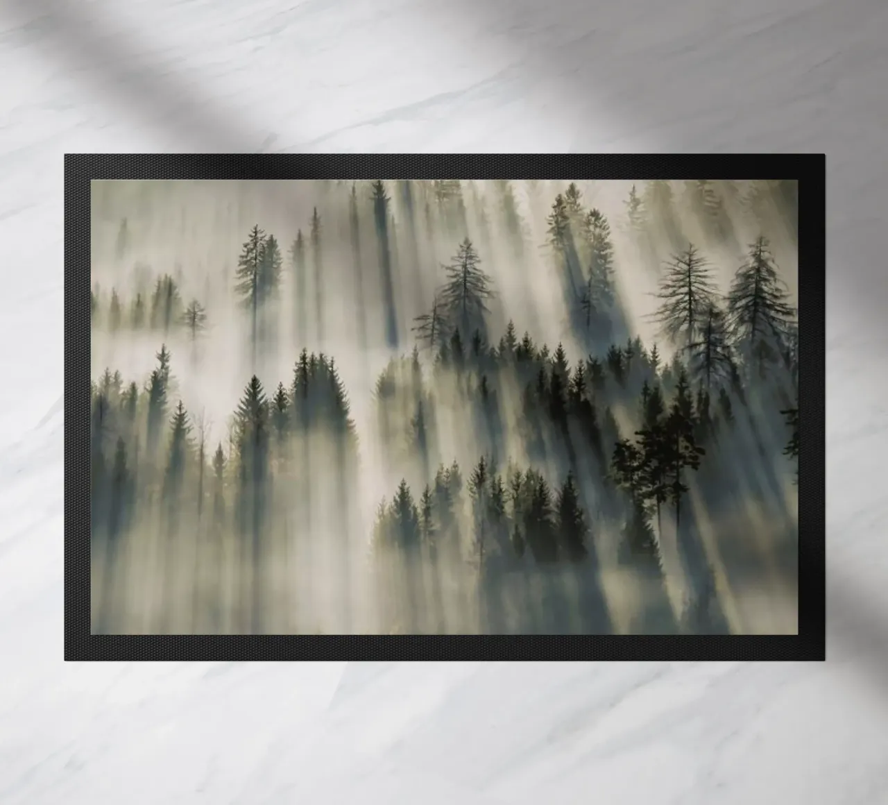 Sun Through Cedars @magnus___p zerbino da EyeEm Mobile GmbH