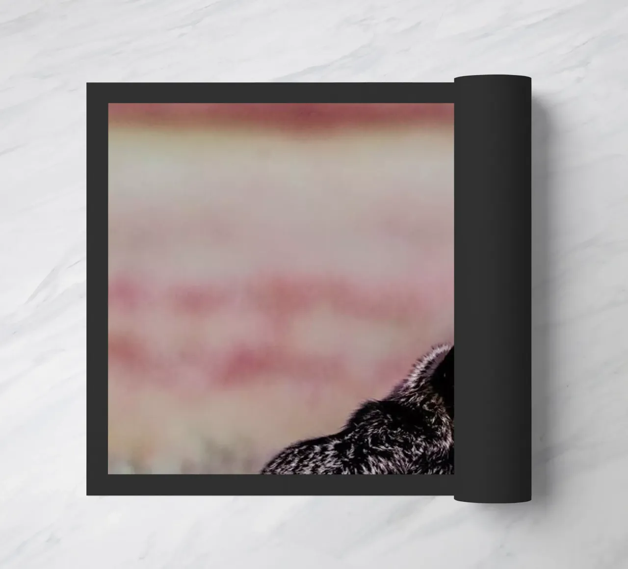 Curiosity doormat by Natural Kingdom