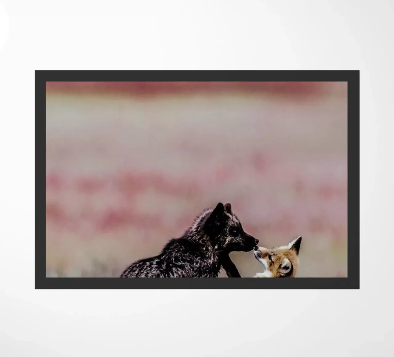 Curiosity doormat by Natural Kingdom