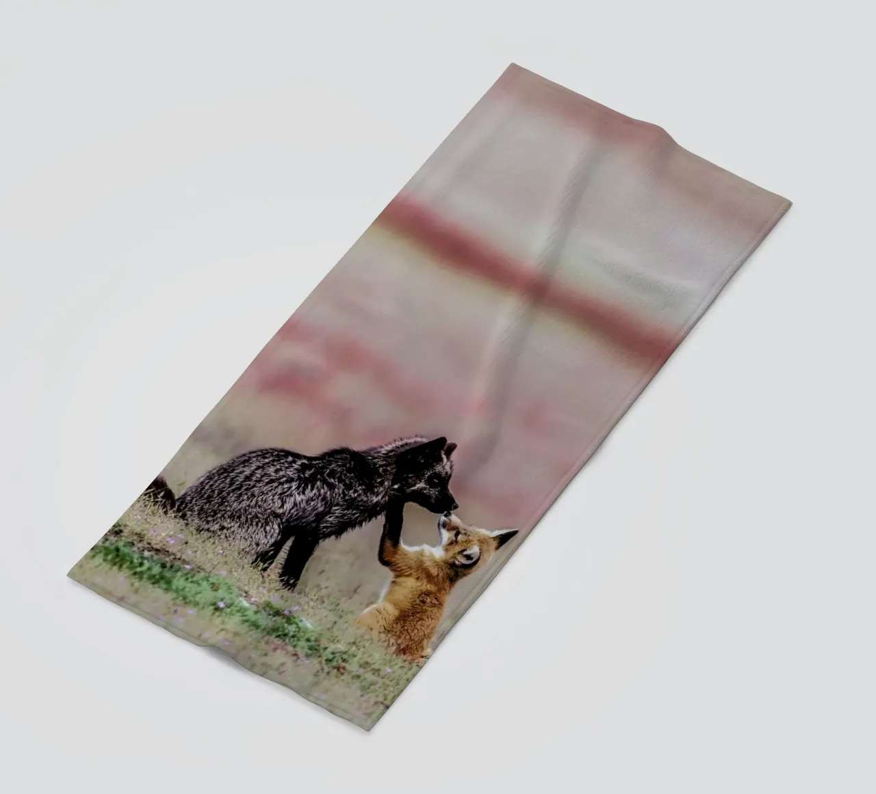 Curiosity telo mare da Natural Kingdom