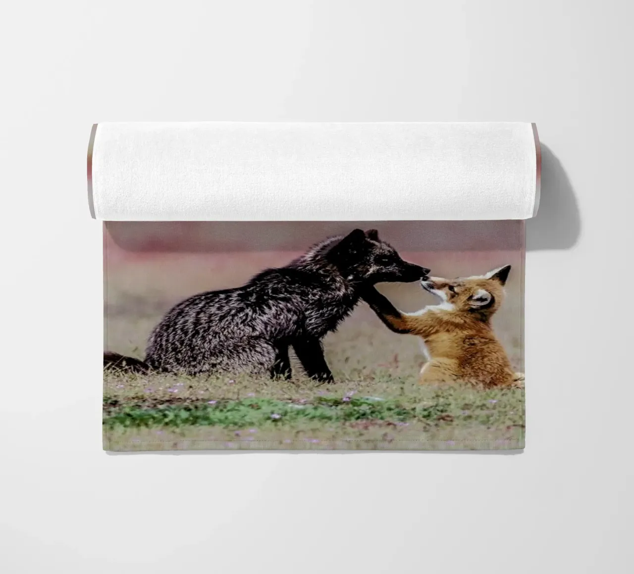 Curiosity telo mare da Natural Kingdom