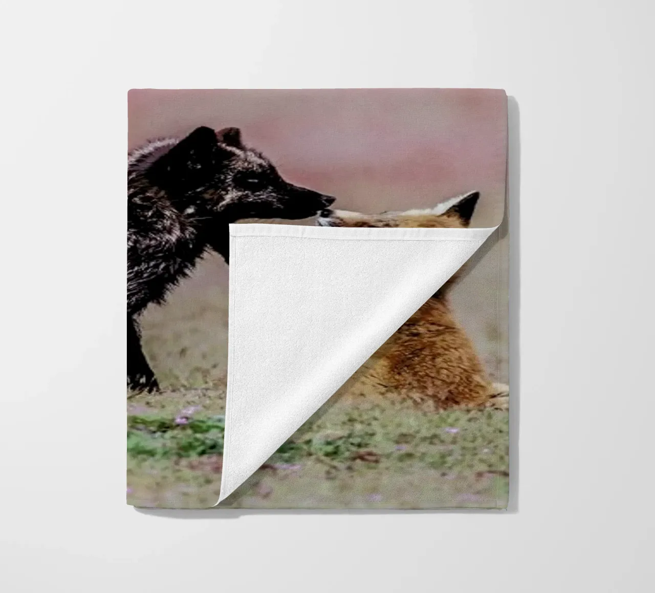 Curiosity telo mare da Natural Kingdom