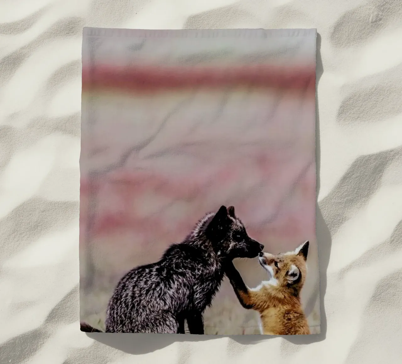 Curiosity telo mare da Natural Kingdom