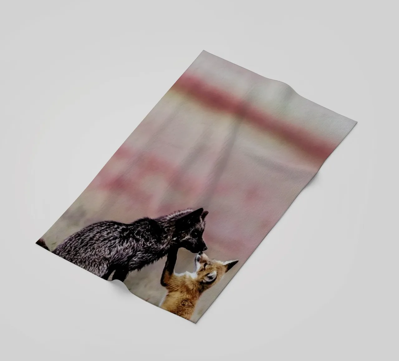 Curiosity telo mare da Natural Kingdom