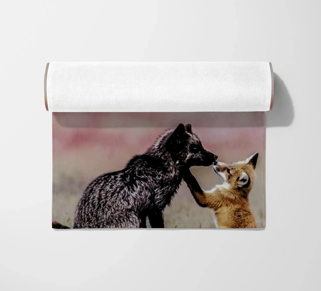 Curiosity telo mare da Natural Kingdom