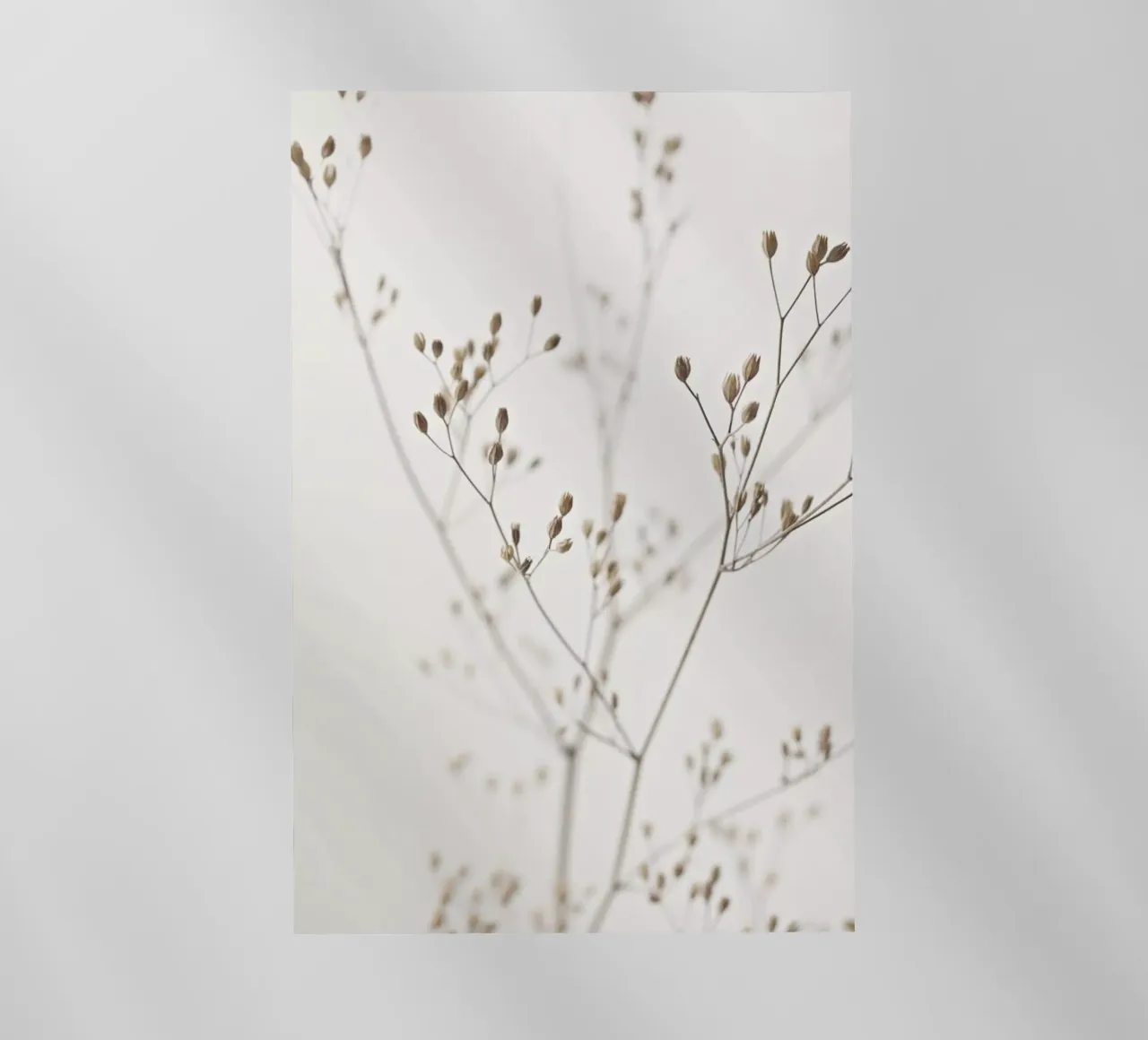 Wild Flower Natural Beige 1 film rétro-éclairé de Monika Strigel