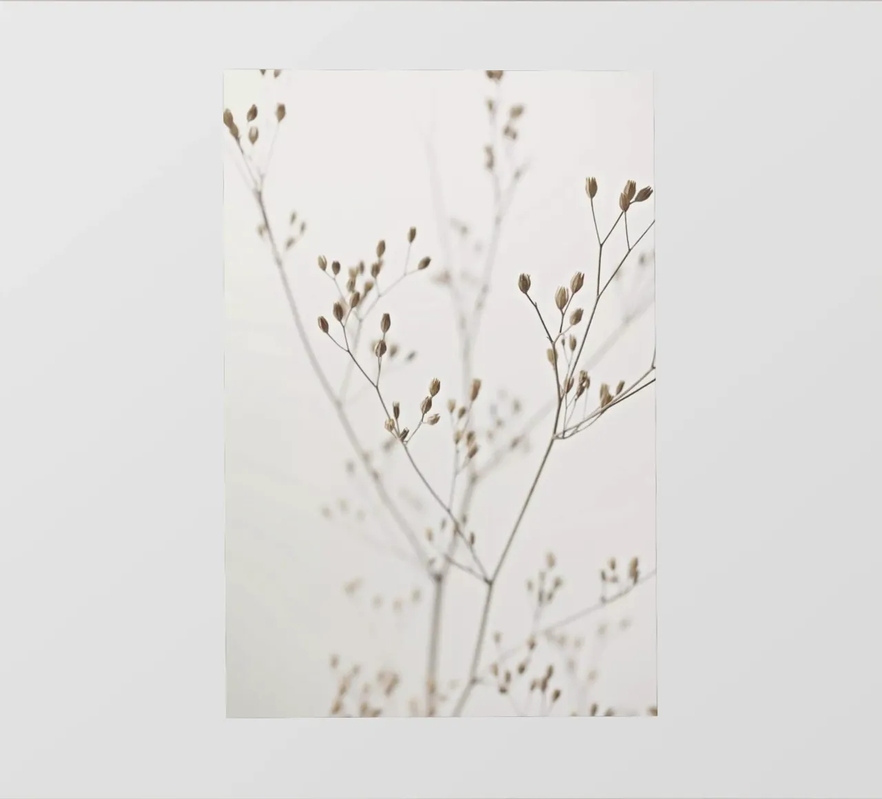 Wild Flower Natural Beige 1 papier peint photo de Monika Strigel