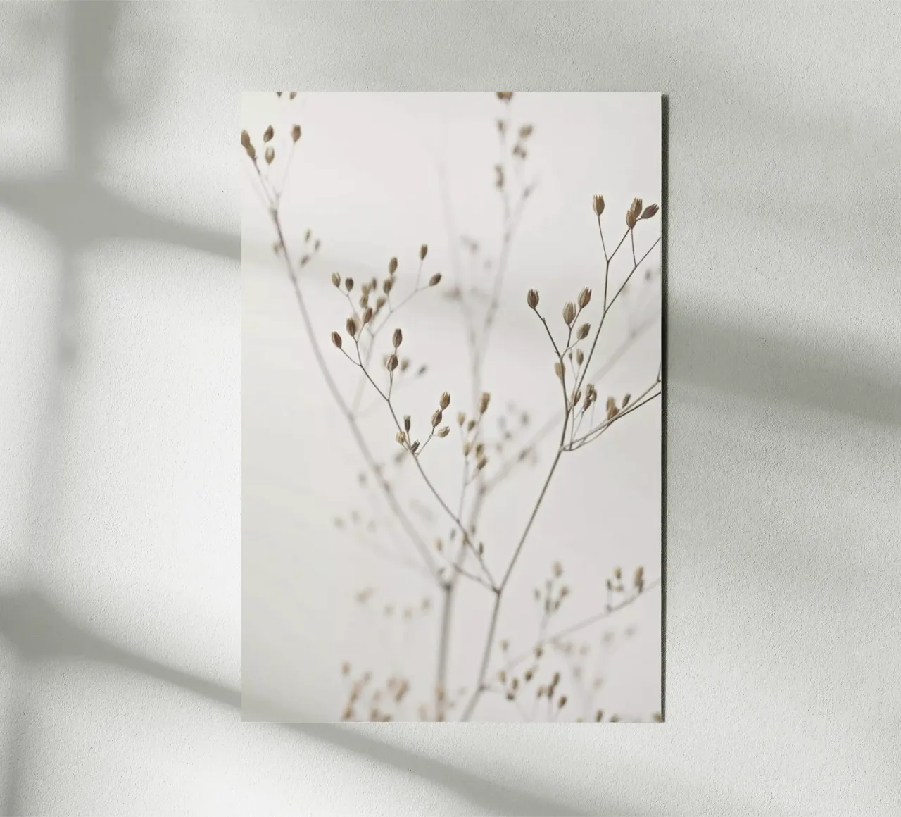 Wild Flower Natural Beige 1 alu dibond de Monika Strigel