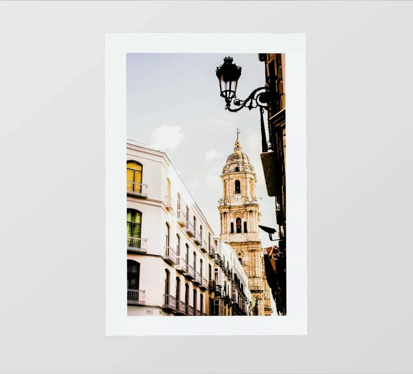 Malaga pellicola backlit da METROPOLIS