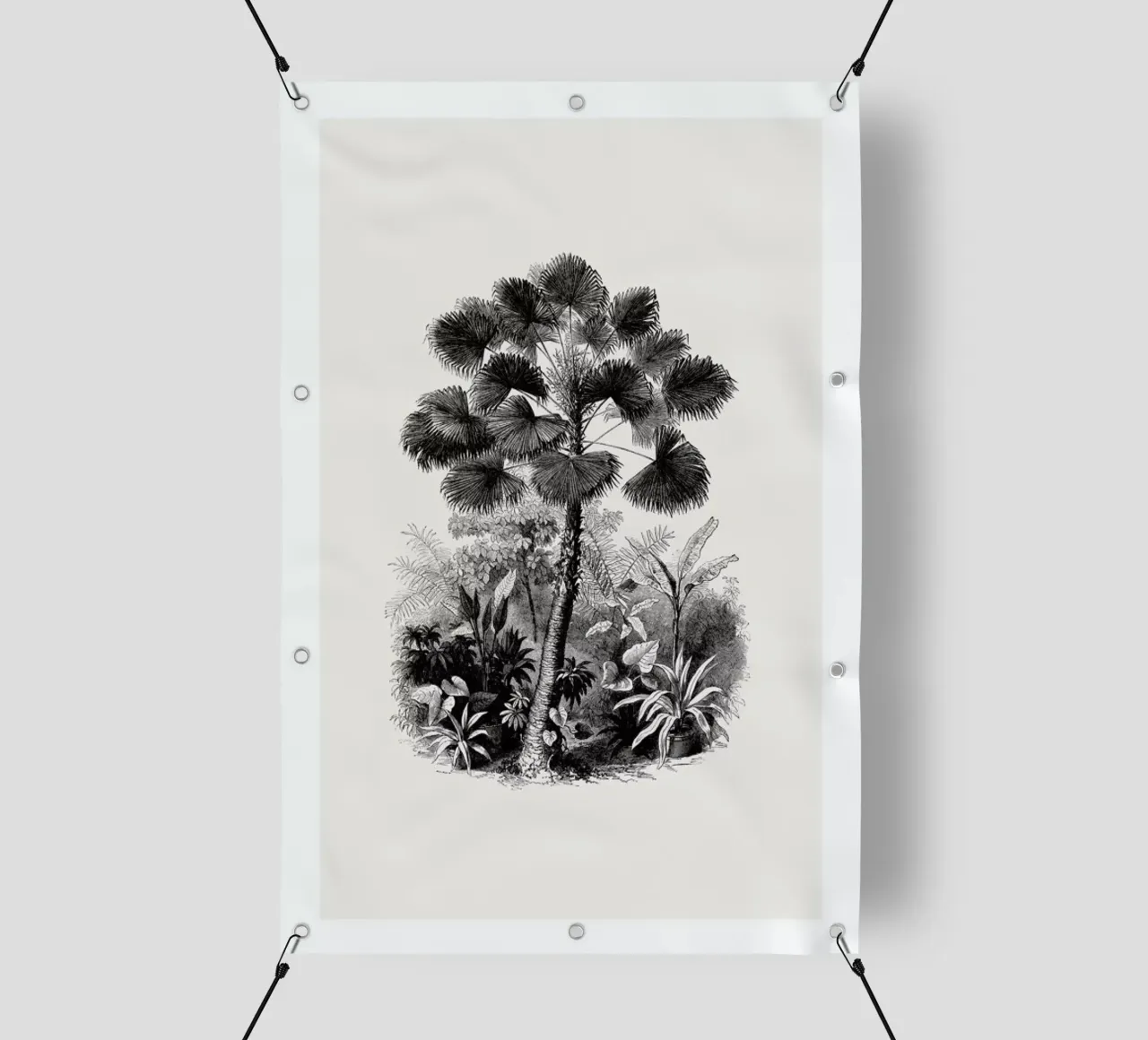 Fan Palm telo in pvc da Flora & Fauna