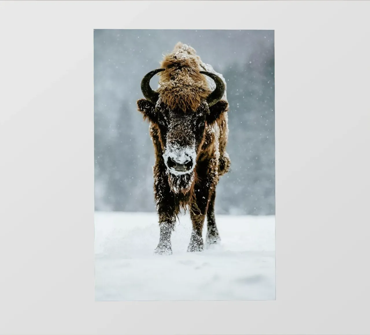 Great Beast @szabo_ervin_edward telo in pvc da EyeEm Mobile GmbH