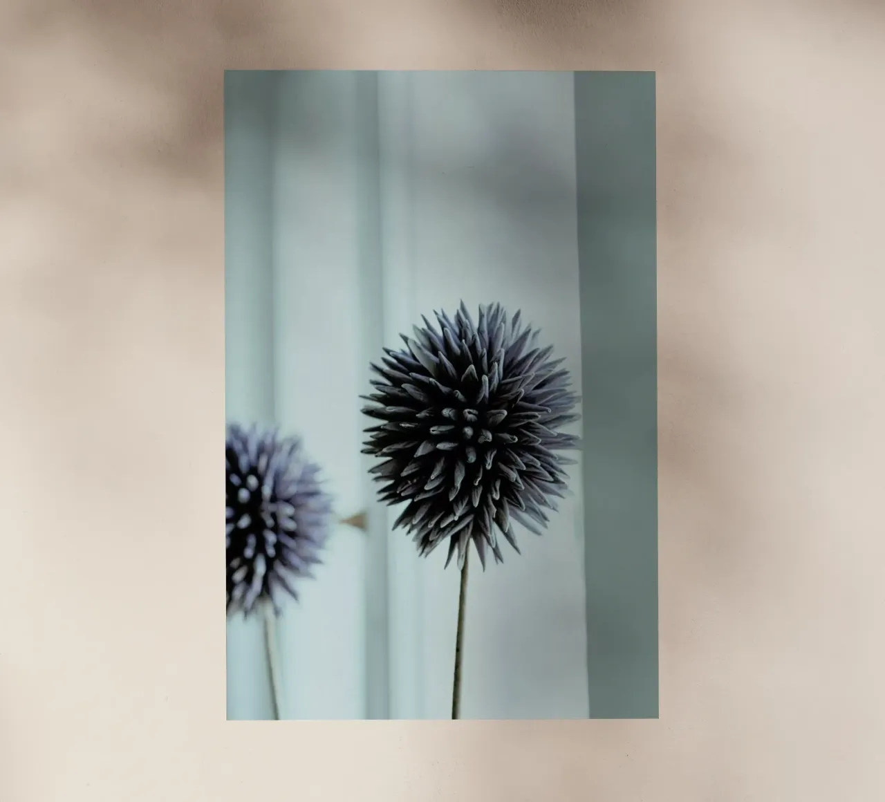 Abstract Flower Shape pellicola backlit da Sebastian Hilgetag