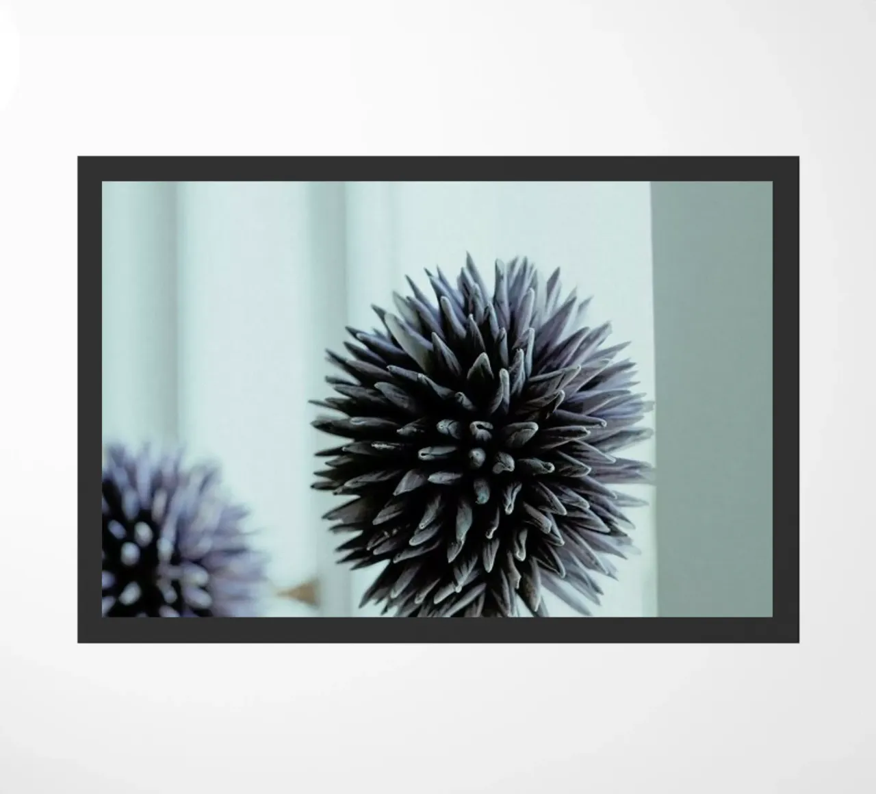 Abstract Flower Shape zerbino da Sebastian Hilgetag