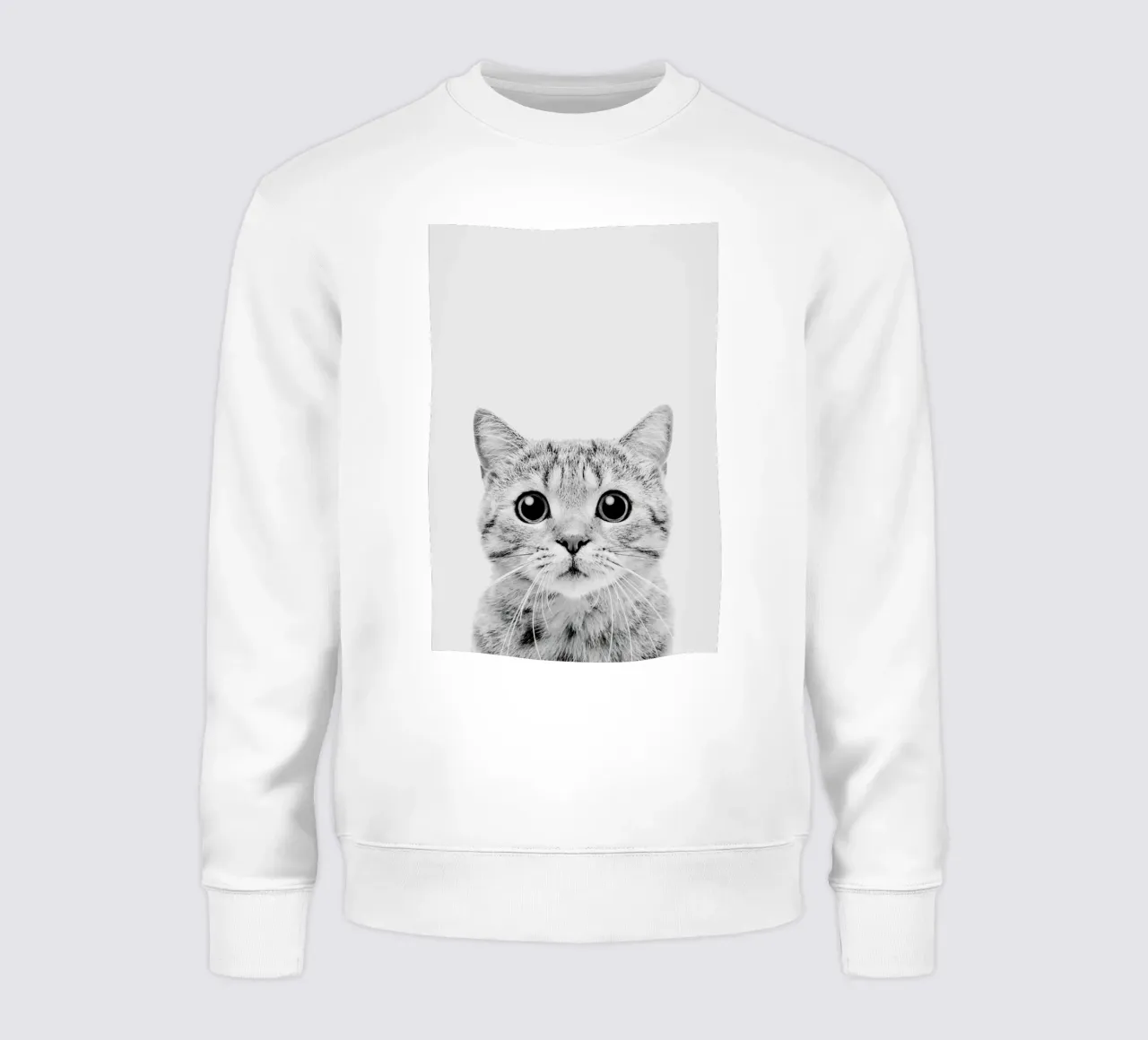 Kitten Classic felpa da Paws & Claws