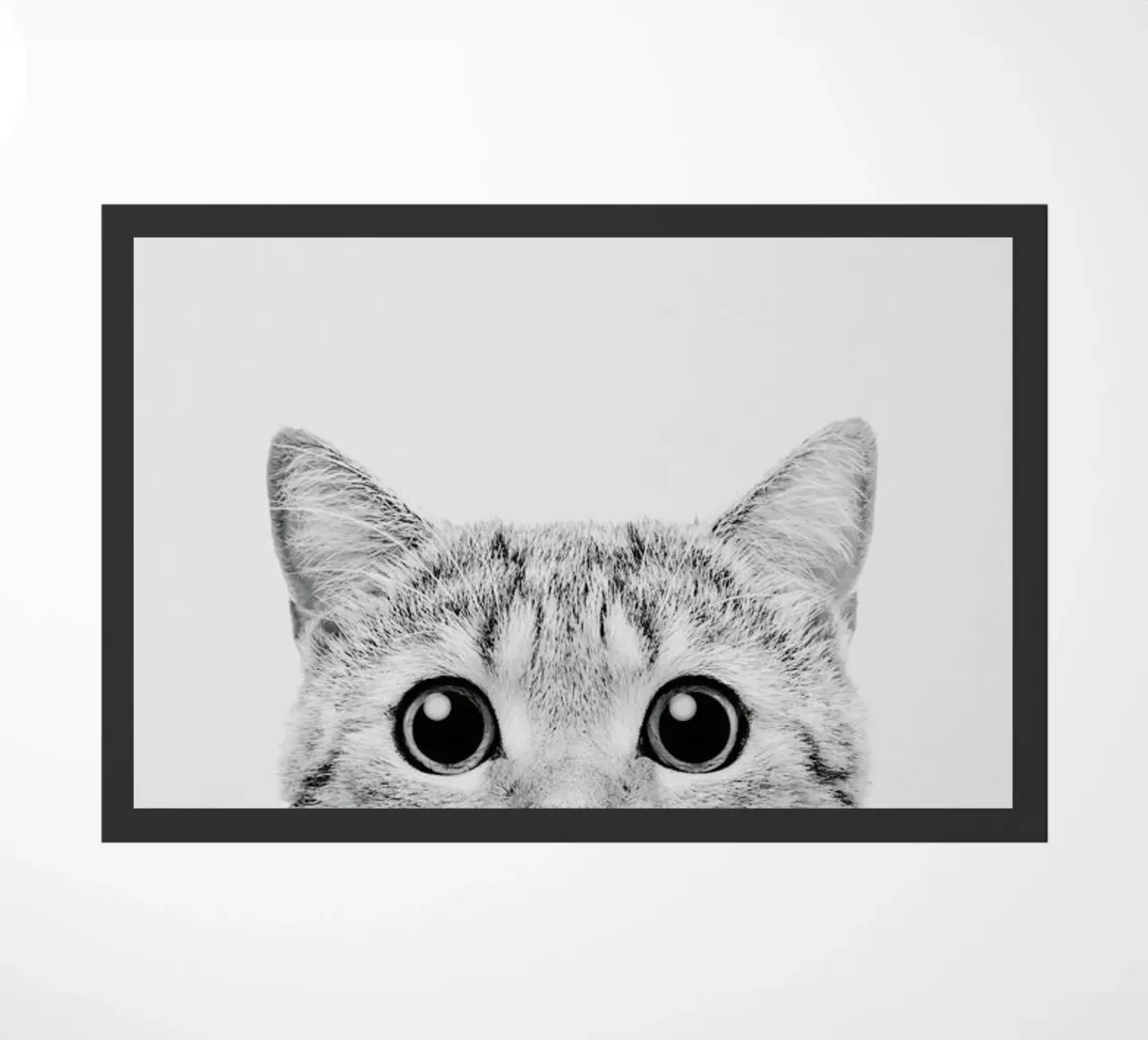 Kitten Classic zerbino da Paws & Claws