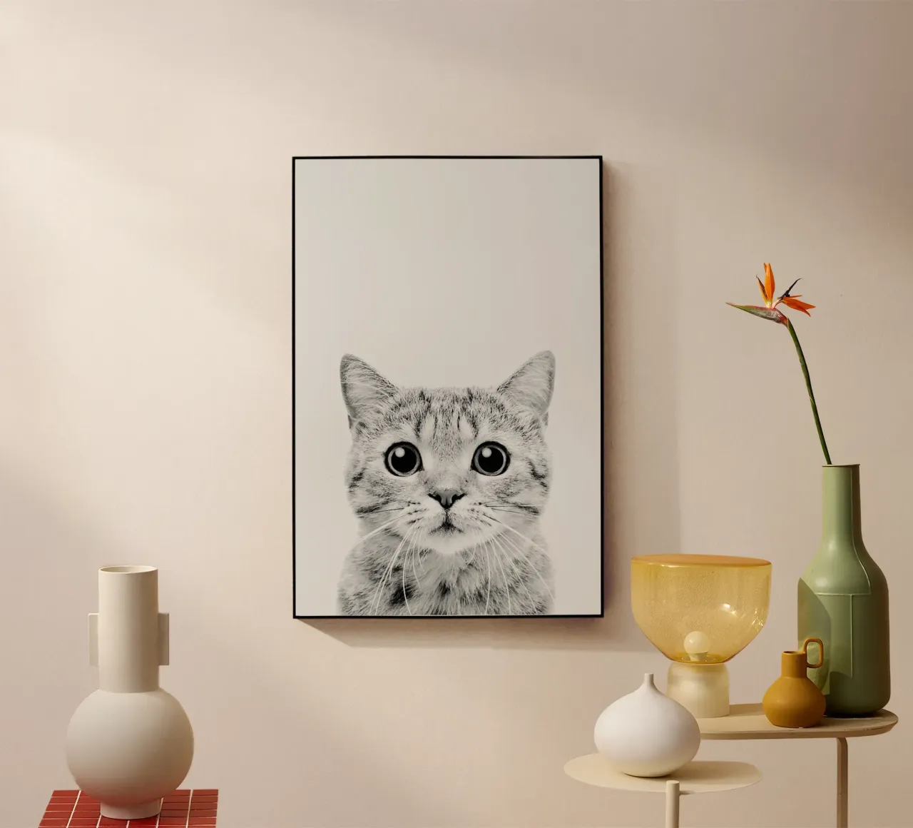 Kitten Classic plexiglass da Paws & Claws