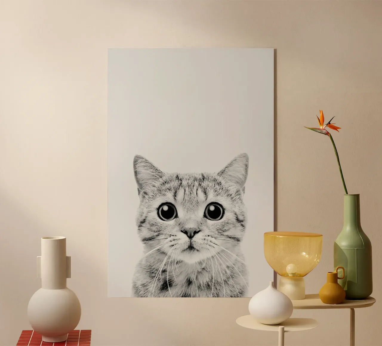 Kitten Classic plexiglass da Paws & Claws