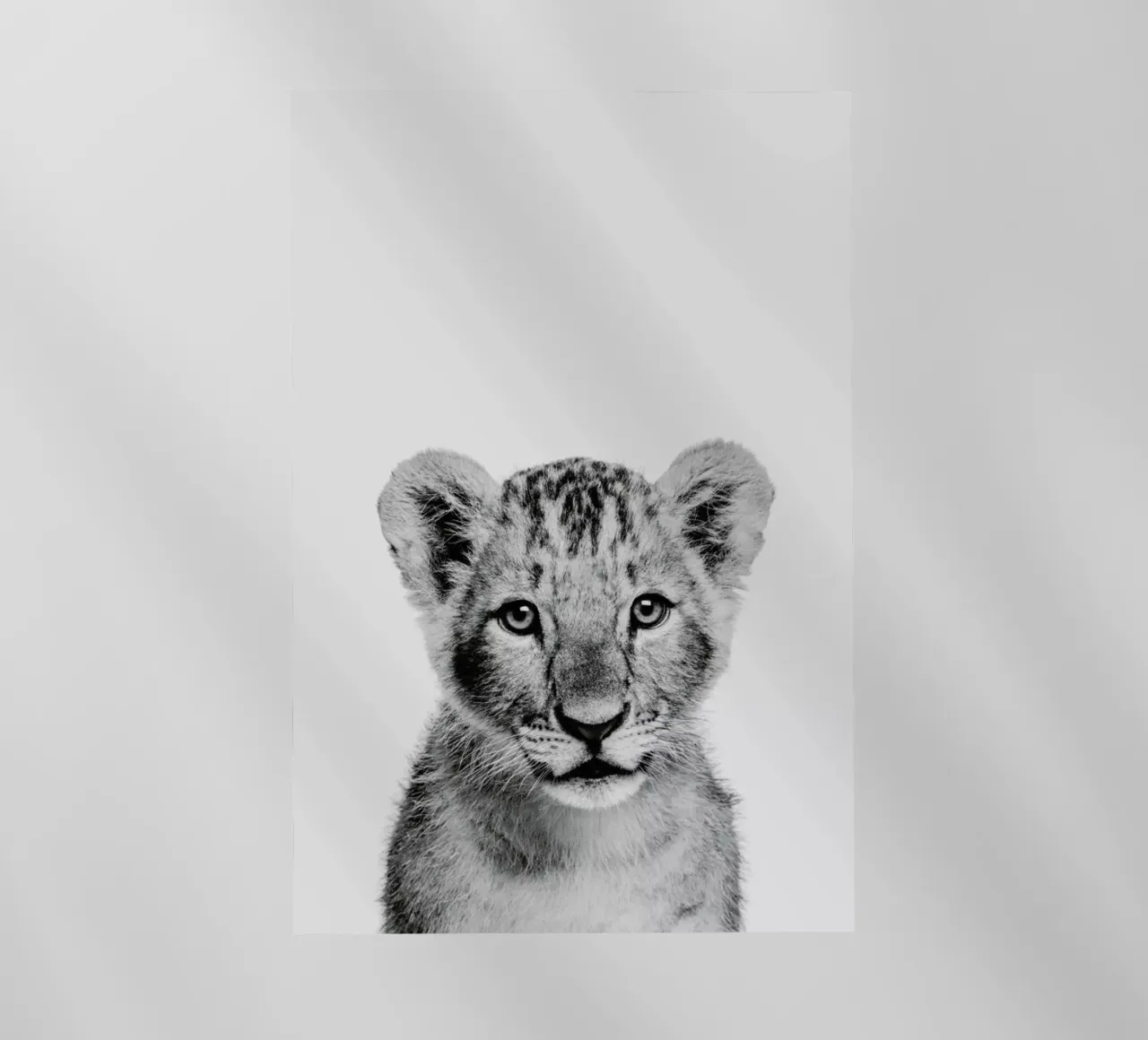 Lion Cub II Classic pellicola backlit da Paws & Claws