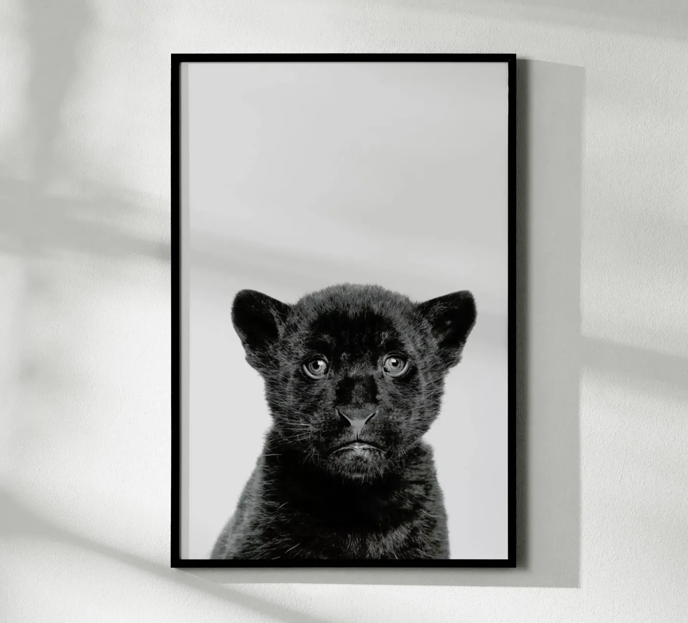 Panther Classic poster da Paws & Claws