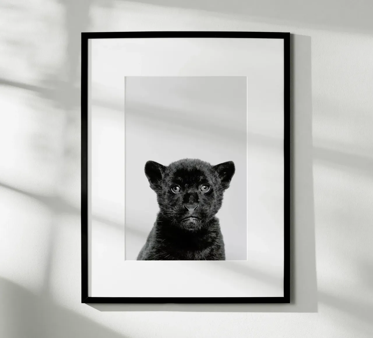 Panther Classic poster da Paws & Claws