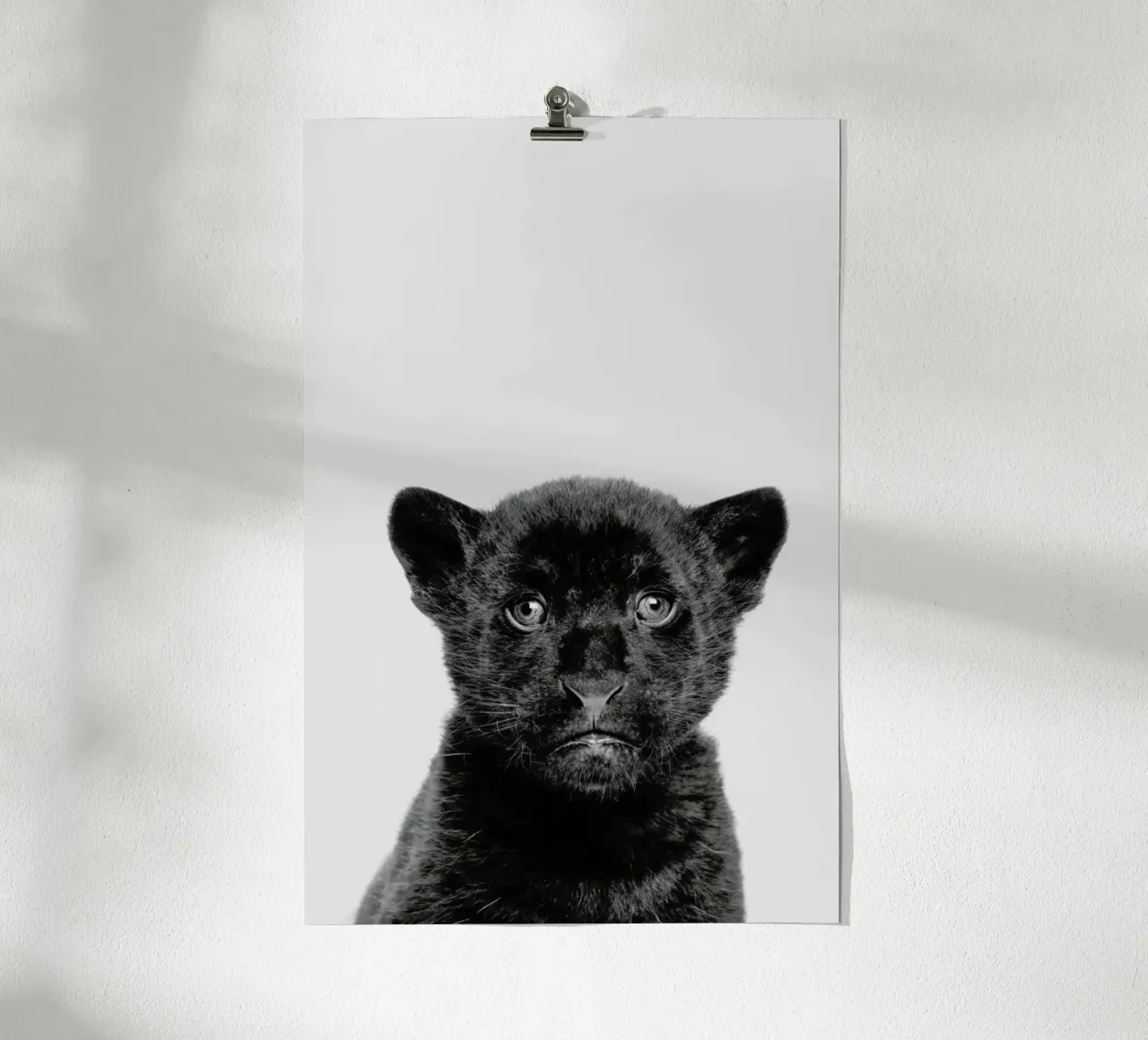 Panther Classic poster da Paws & Claws