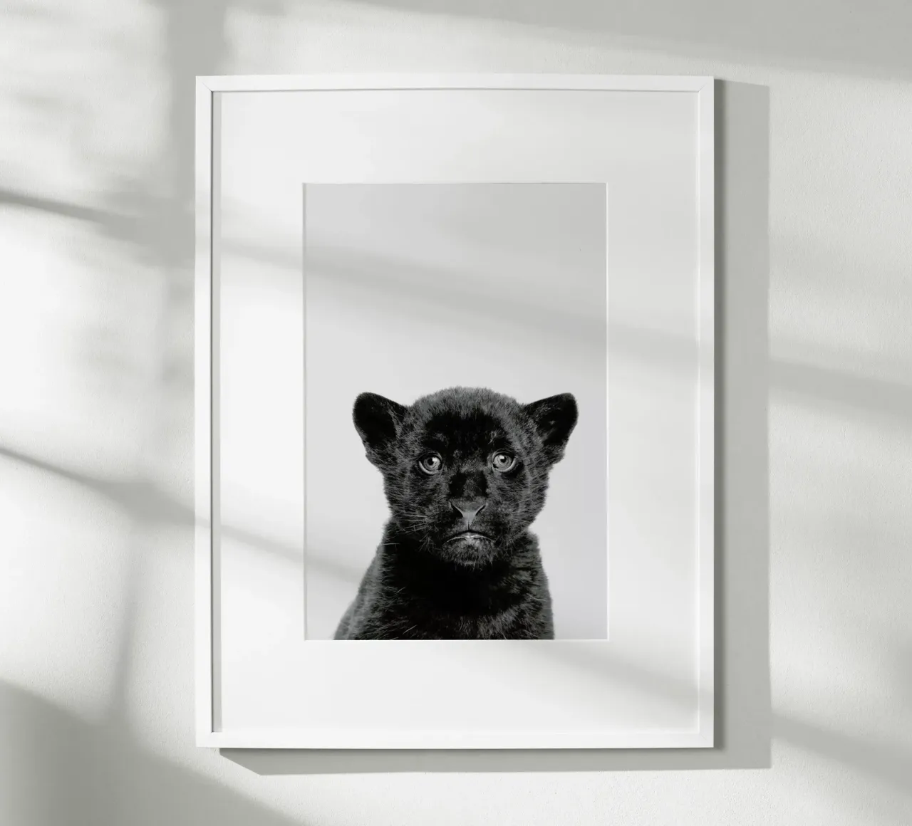 Panther Classic poster da Paws & Claws