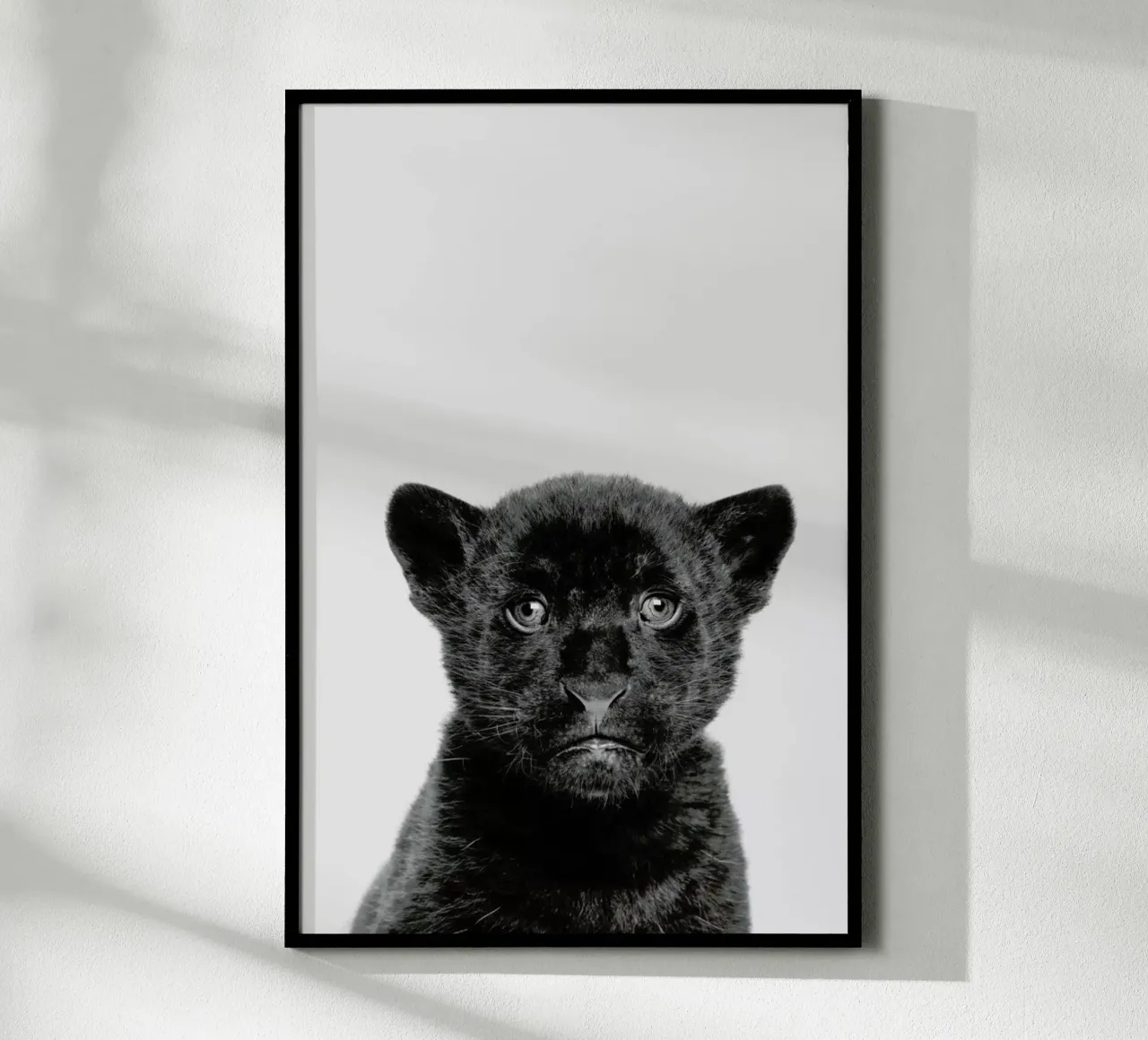 Panther Classic poster da Paws & Claws