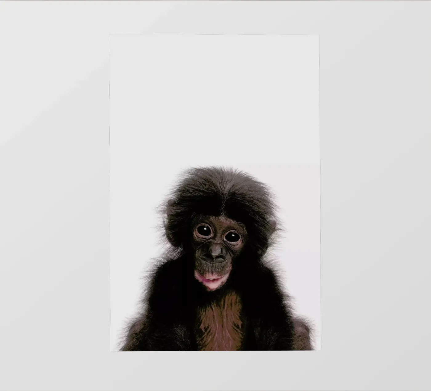 Bonobo pellicola backlit da Paws & Claws