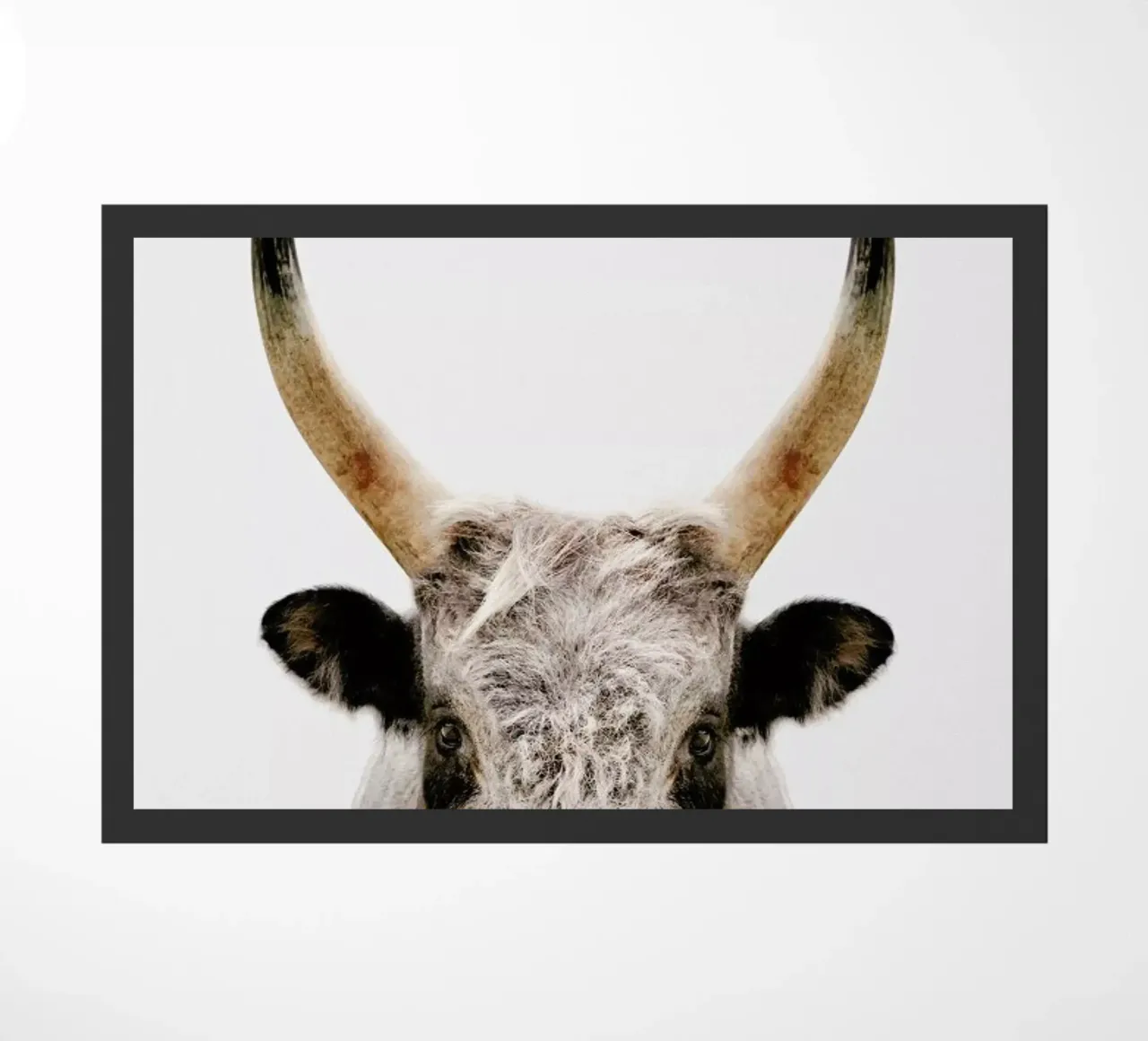 Bull zerbino da Paws & Claws