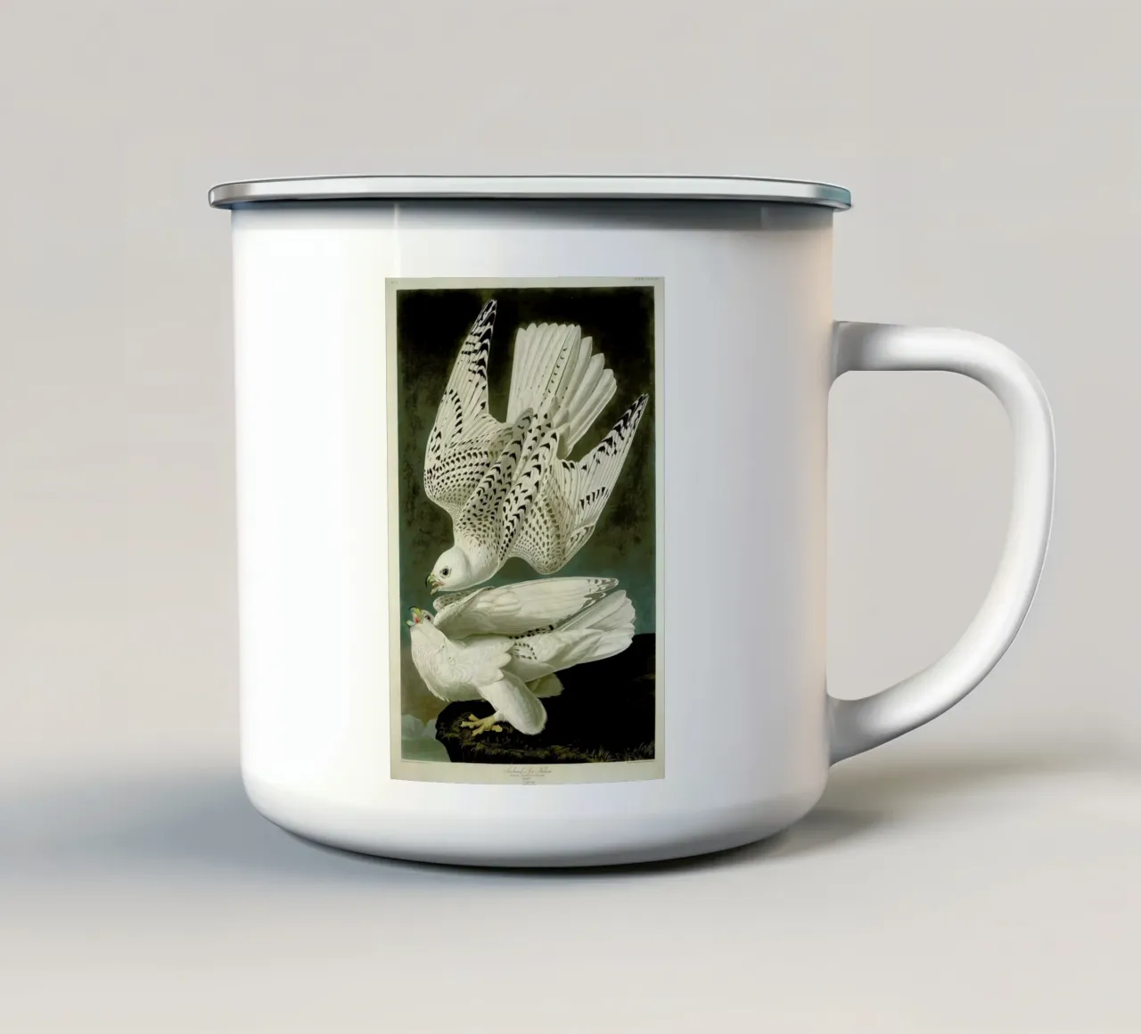 Robert Havell - Iceland or Jer Falcon tazza in smalto da ARTOTHEK