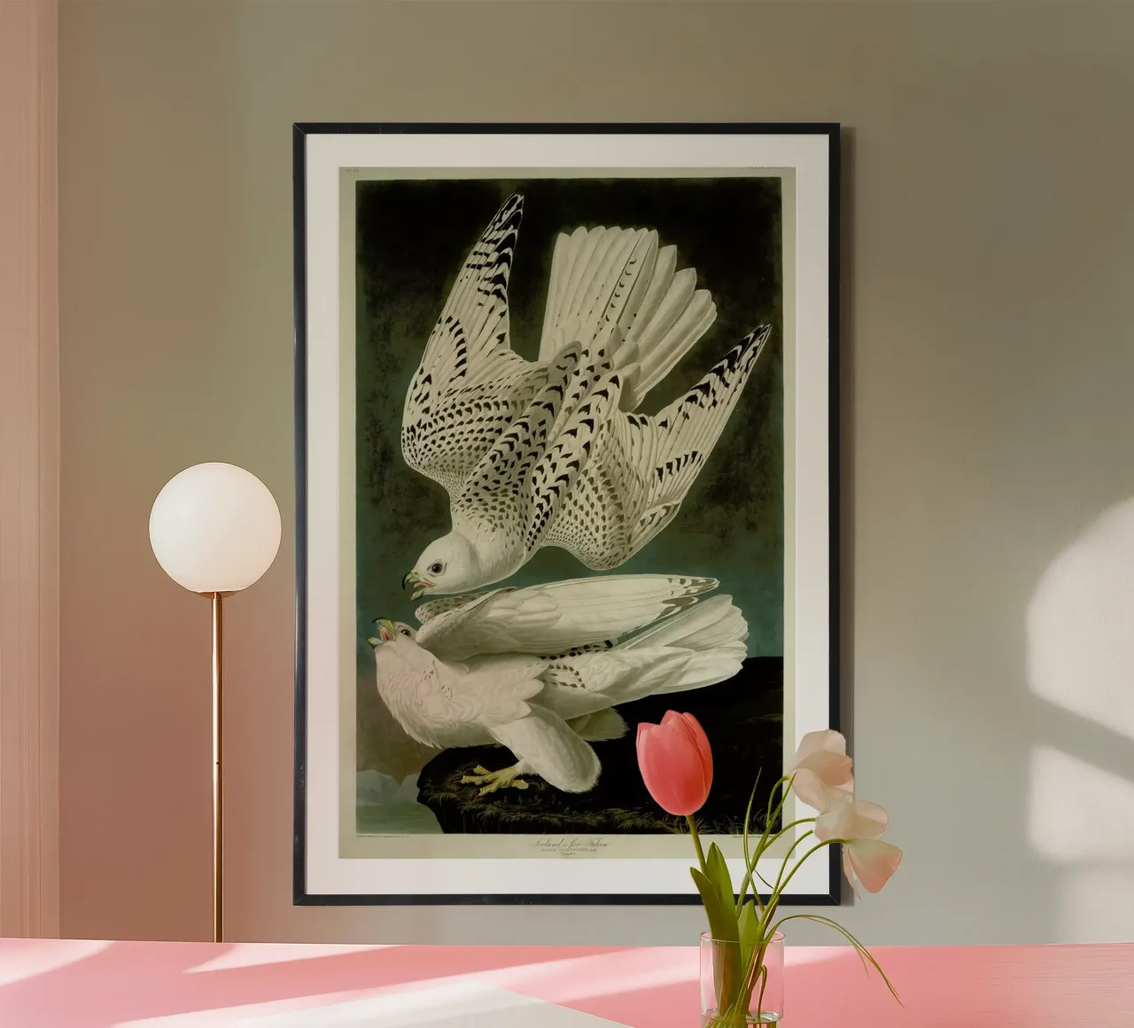 Robert Havell - Iceland or Jer Falcon poster da ARTOTHEK