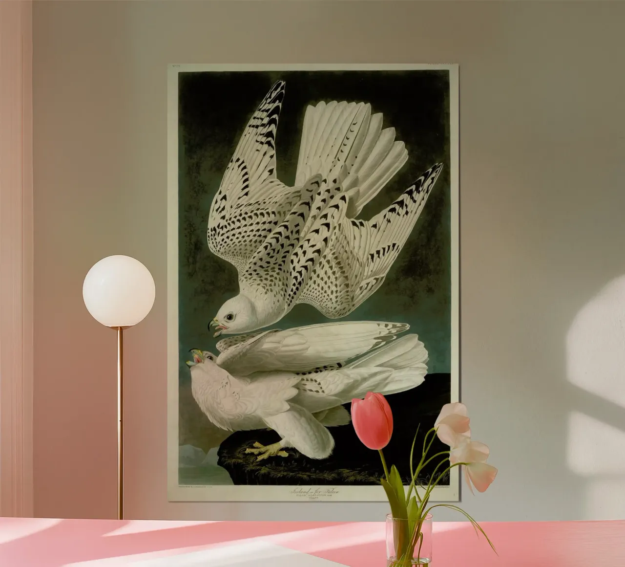 Robert Havell - Iceland or Jer Falcon poster da ARTOTHEK