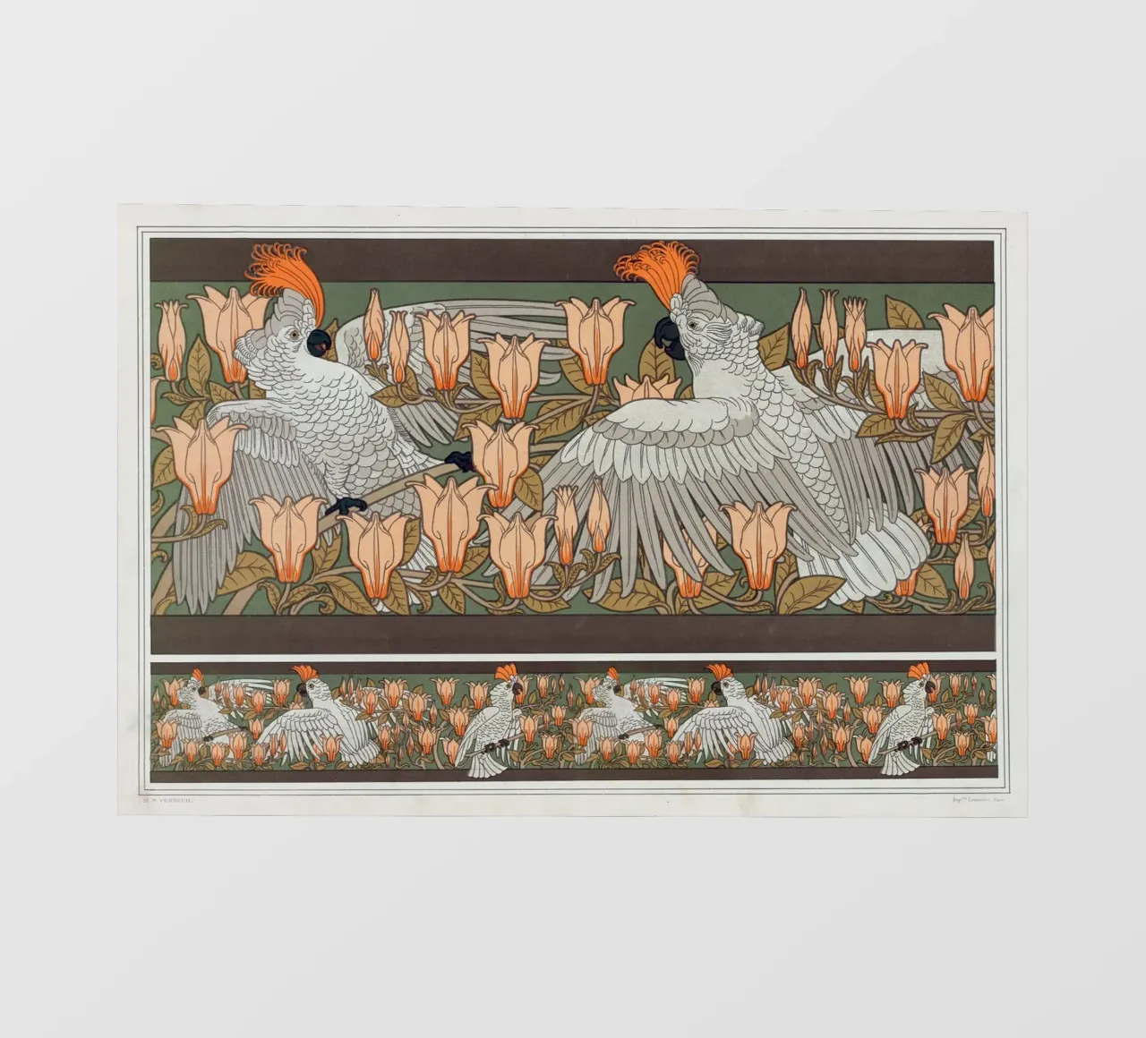 Maurice Pillard - Verneuil Cacatoës e magnolia pellicola backlit da Old Masters