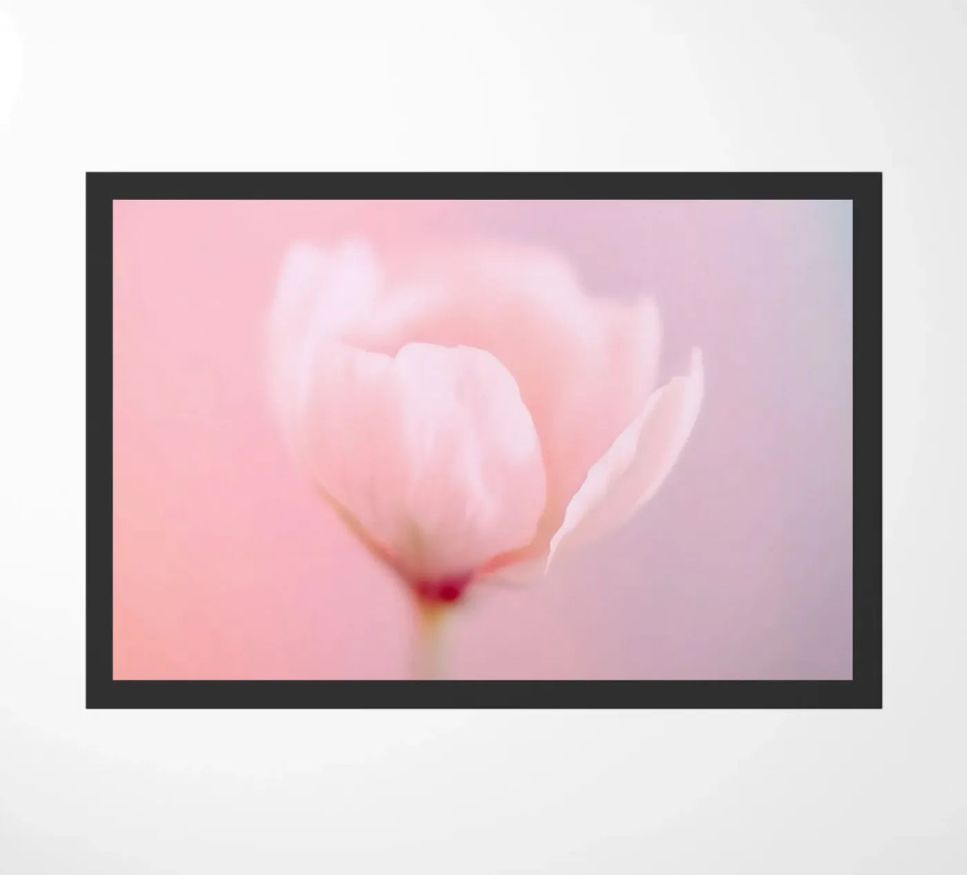 Fiore rosa zerbino da Moon Bloom