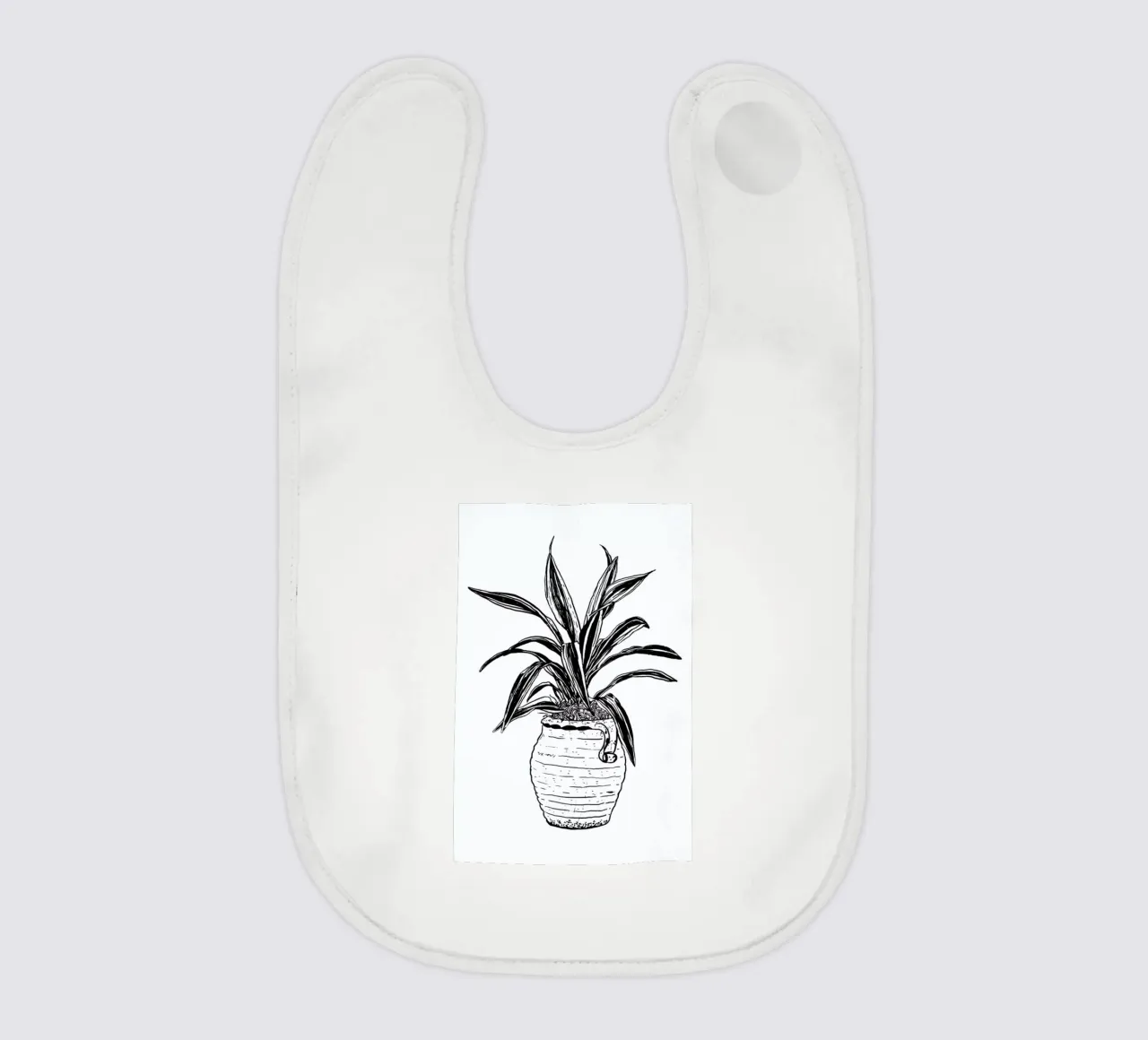 Dracaena bavaglino da Nick Cocozza