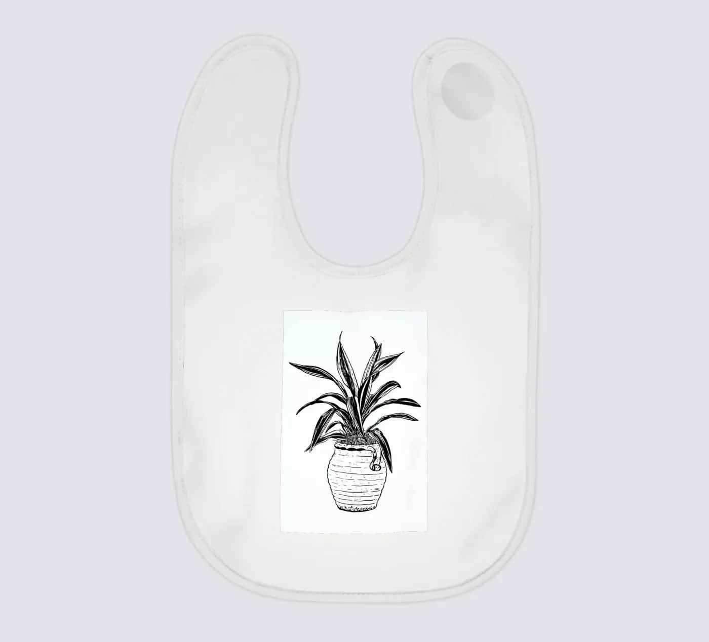 Dracaena bavaglino da Nick Cocozza