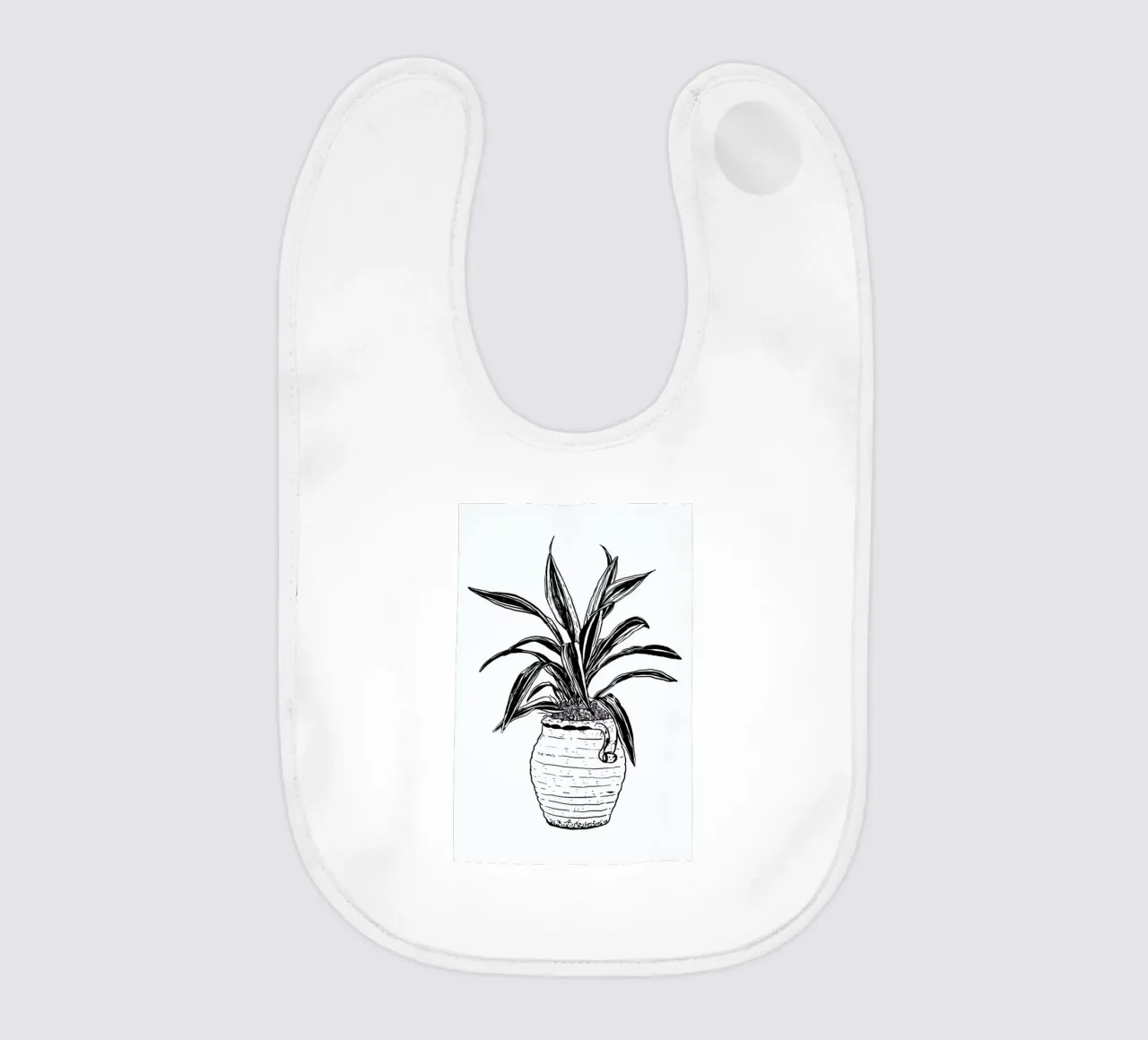 Dracaena bavaglino da Nick Cocozza