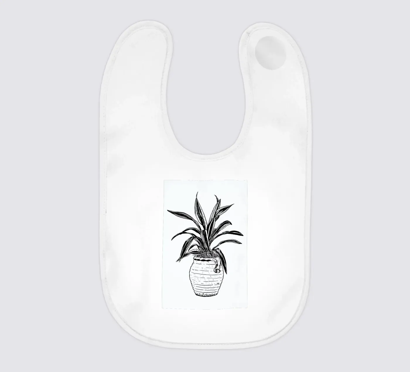 Dracaena bavaglino da Nick Cocozza