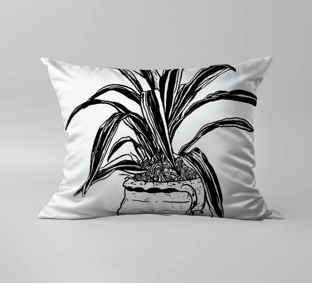 Dracaena cuscino da Nick Cocozza