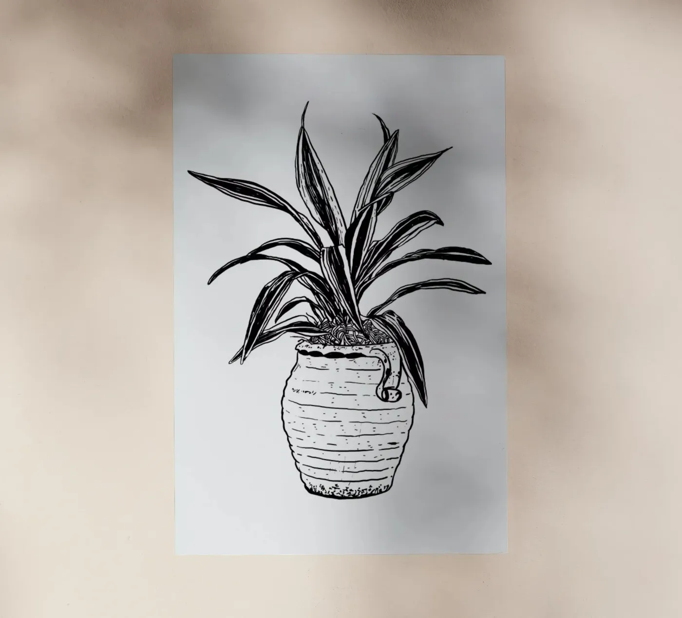 Dracaena pellicola backlit da Nick Cocozza
