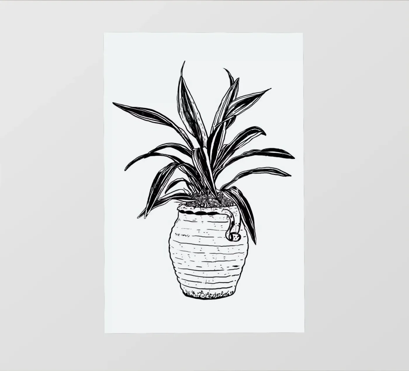 Dracaena pellicola backlit da Nick Cocozza