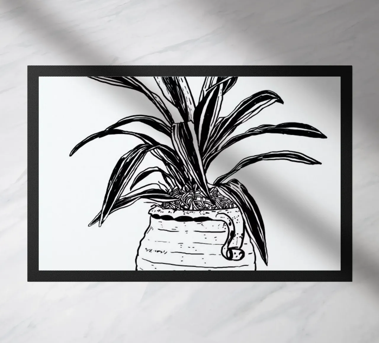 Dracaena zerbino da Nick Cocozza